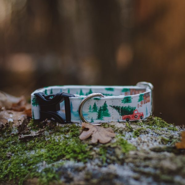 Handgemaakte outdoor hondenhalsband met winterse print