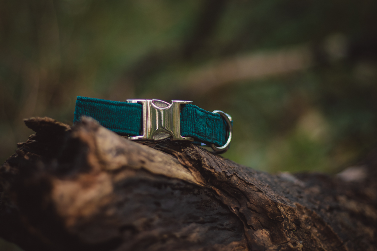 Deze handgemaakte hondenhalsband is het perfecte kerstgeschenk