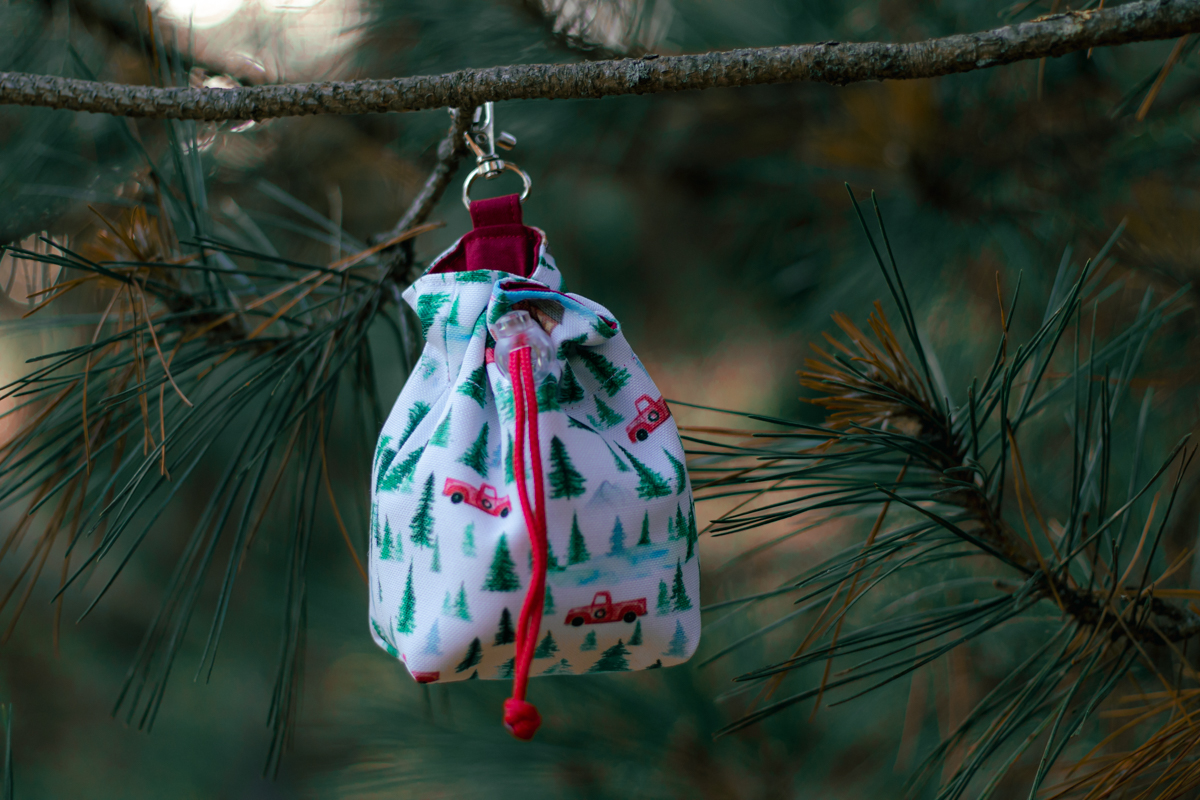 Beloningszakje voor de hond met kerstmotief