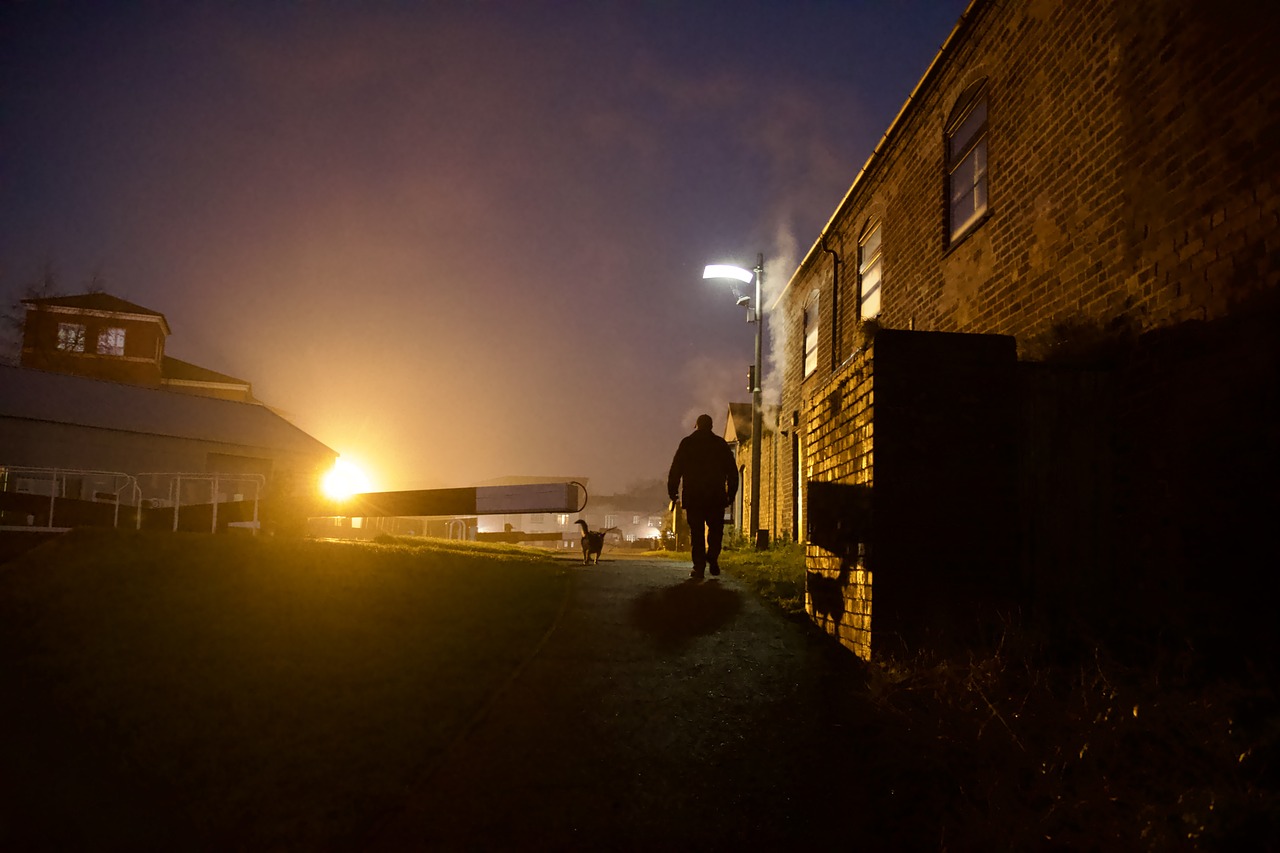 tips voor wandelen in het donker met je hond