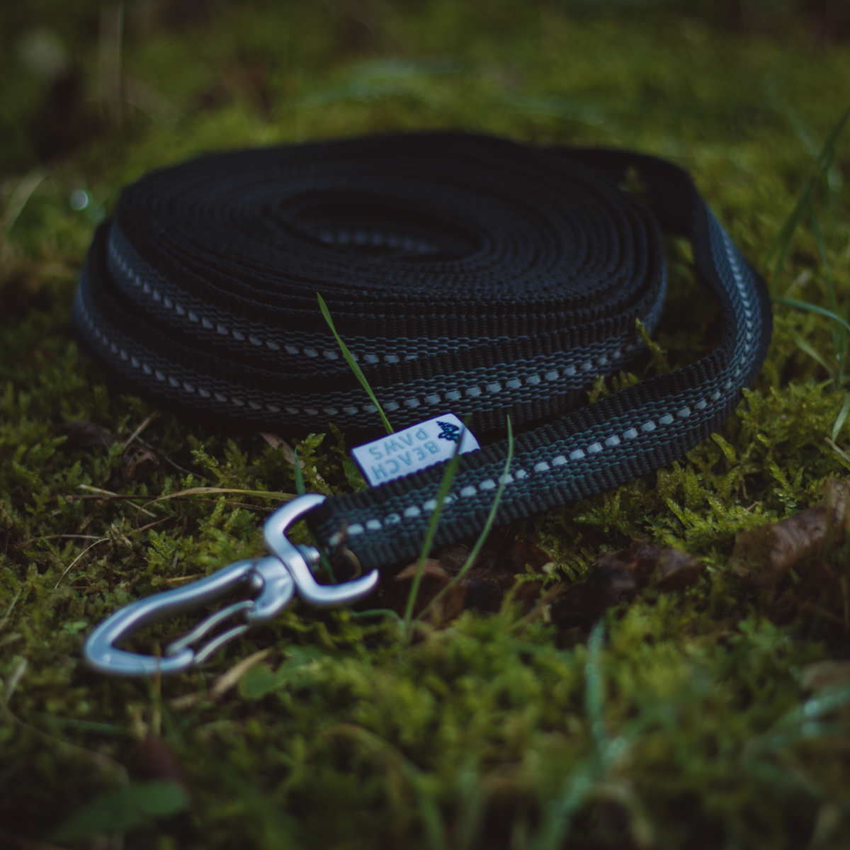 Lange reflecterende hondenlijn 5 meter
