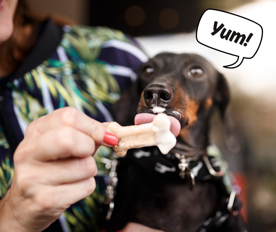 Hoe maak je zelf een hondenijsje