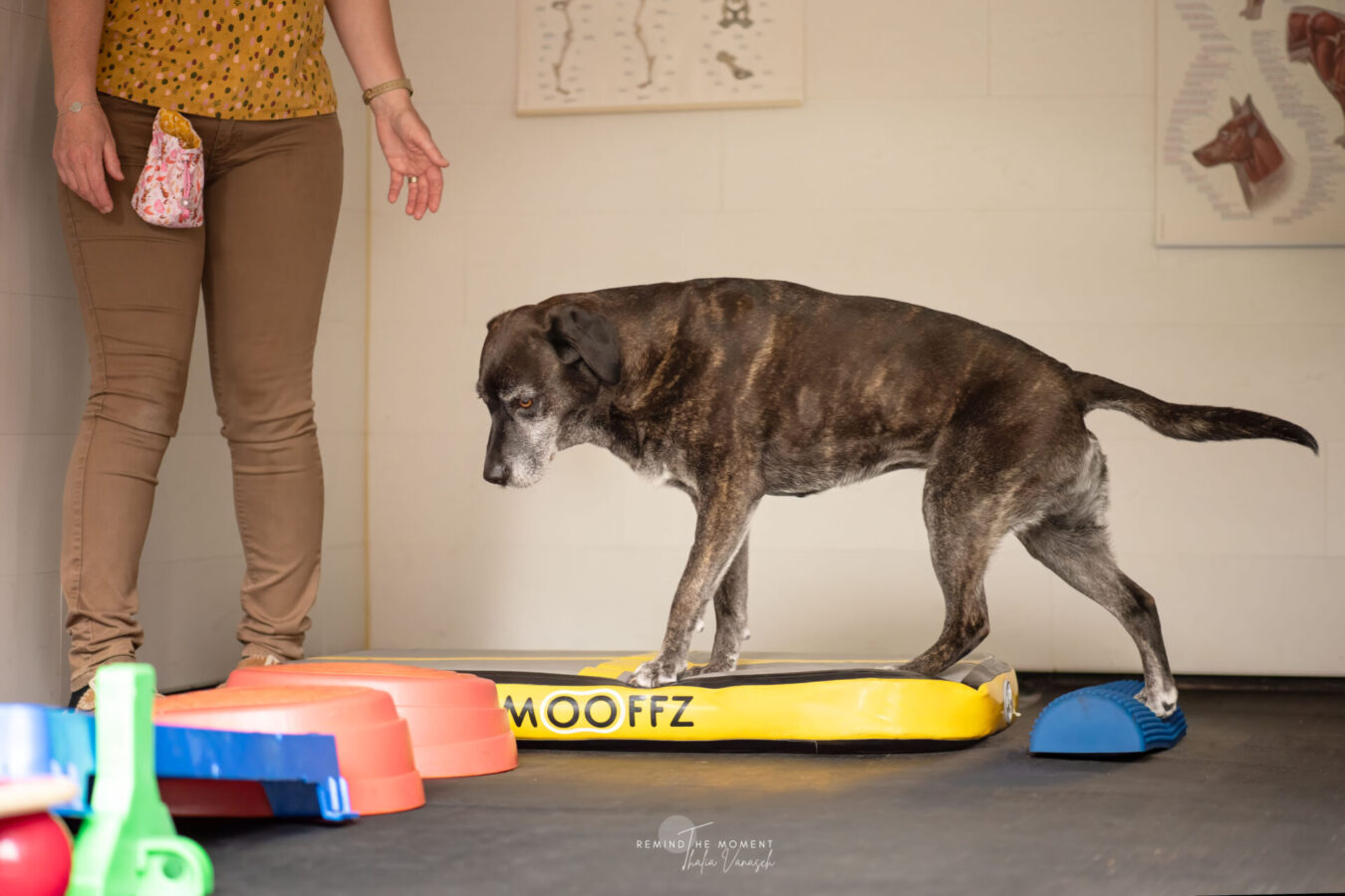 bij body en balance werken we met verschillende toestellen