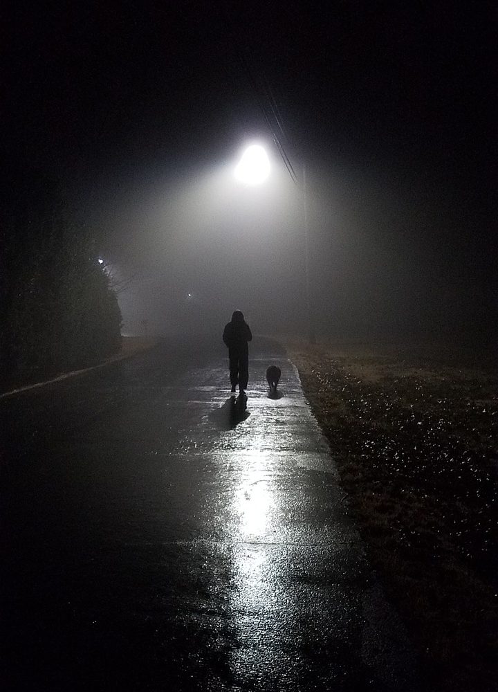 tips voor wandelen in het donker met de hond